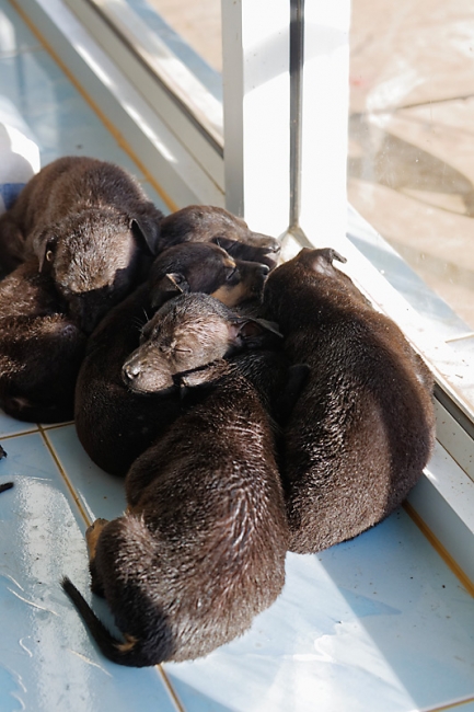 Famille et amis-MAI17-018